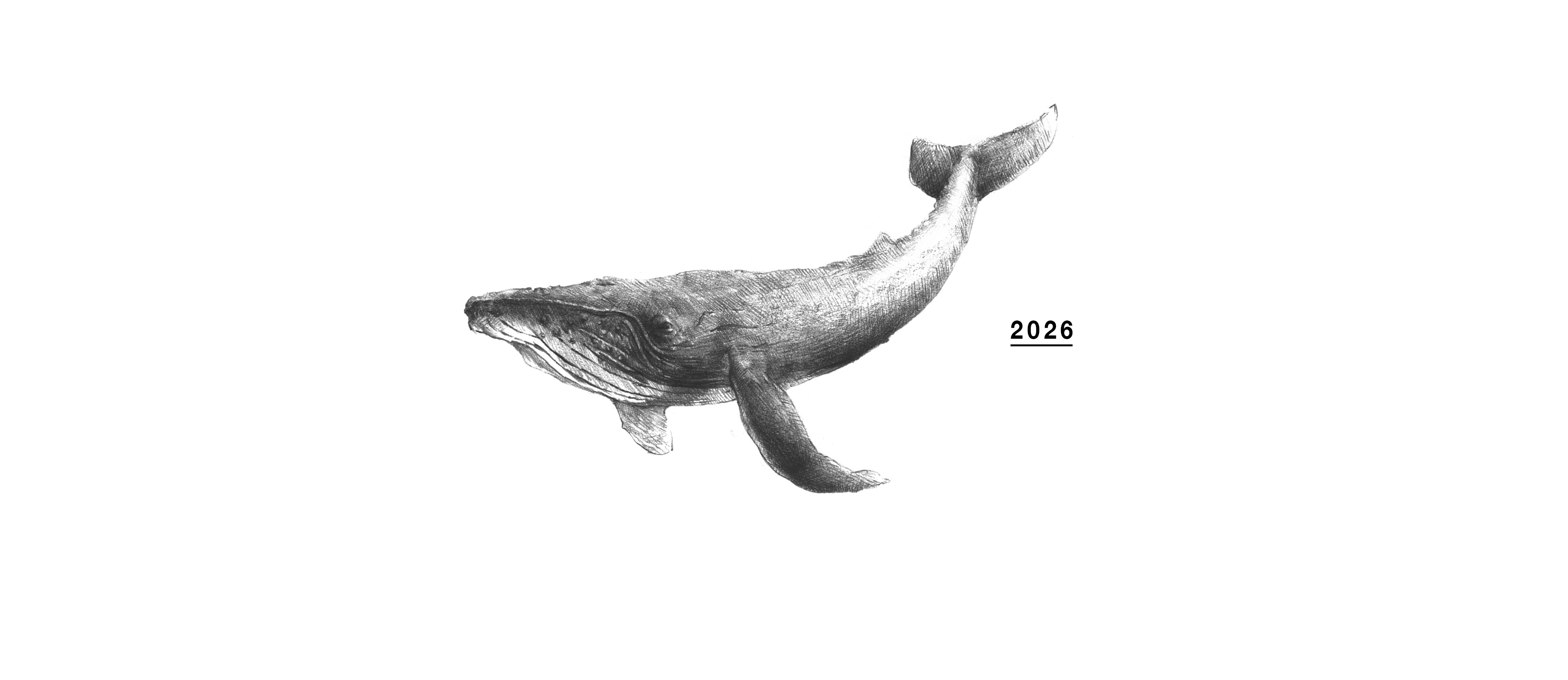 illust_クジラ_new_03++